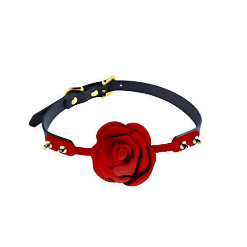 Bondage & Kink